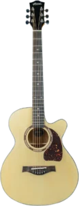 Hertz HZA 3900