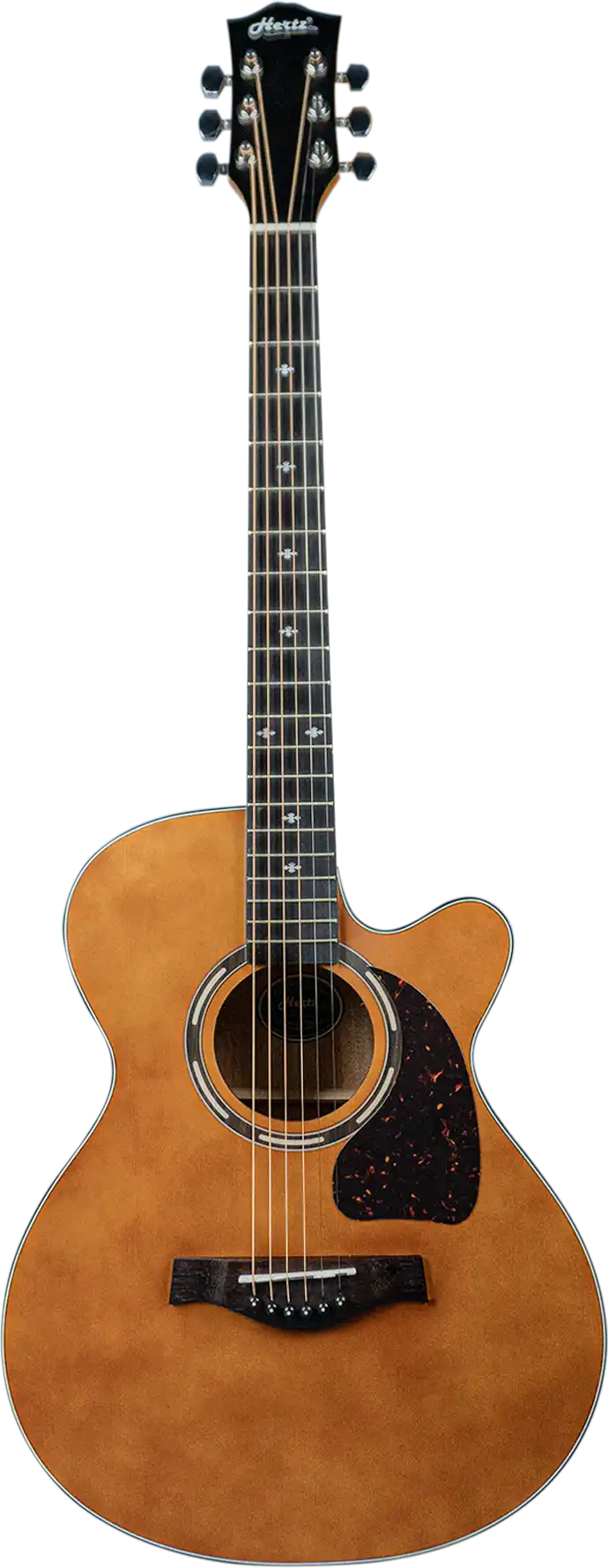 Hertz HZA 3900