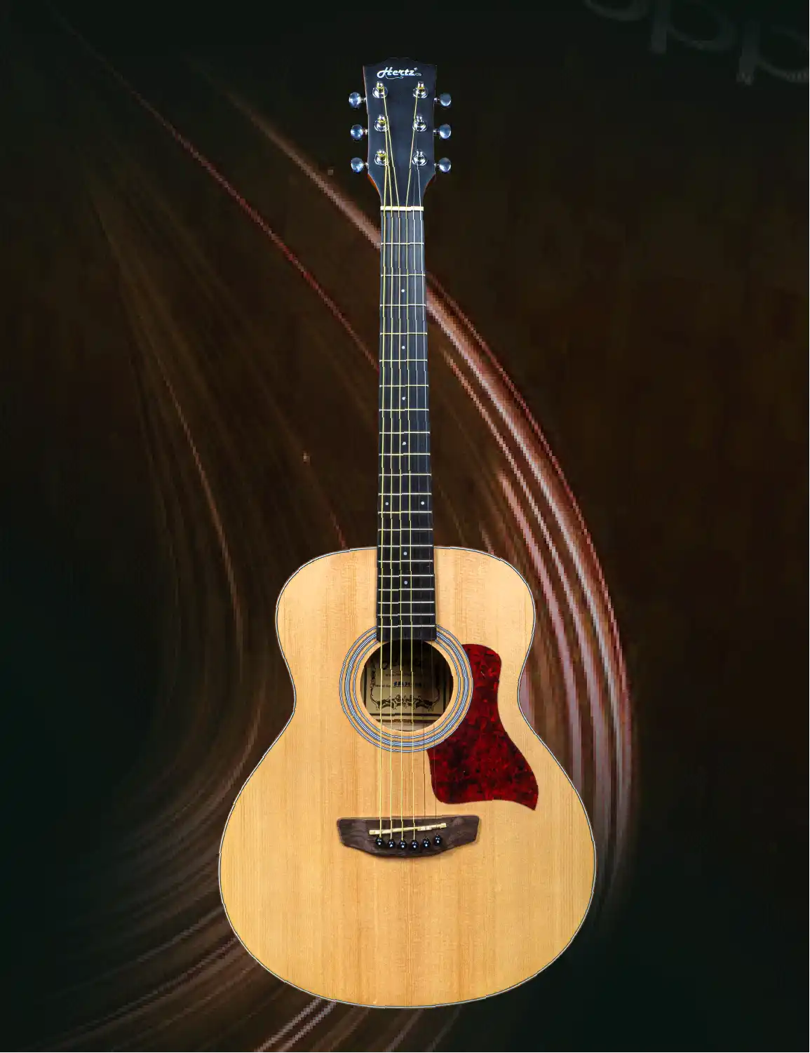 Acoustic Guitars
