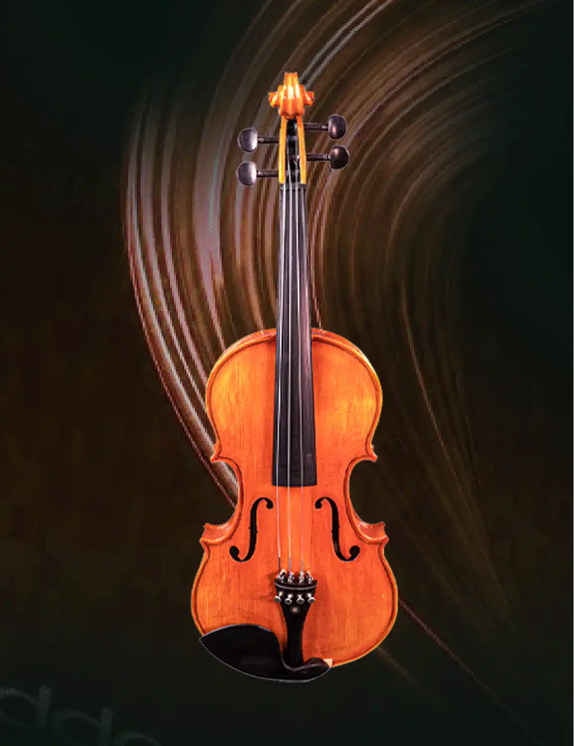 Violin